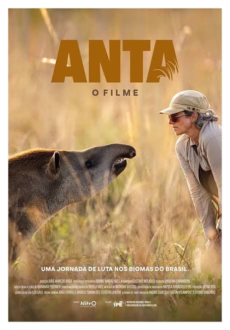 Tapir (Anta, o filme) (dir: Joao Marcos Rosa)